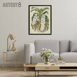 "Artery8 F Sander Saccolabium Giganteum Orchid Flowers Framed Canvas Art Print - Size: W12"" x H16""" - thumbnail 3