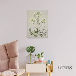 "Artery8 New Zealand White Gentiana Flowers Featon Canvas Wall Art Print in Beige - Size: W18"" x H24""" - thumbnail 3