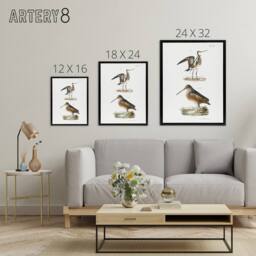 "Artery8 James De Kay Ring Tailed Marlin & American Woodcock Framed Canvas Art in White - Size: W12"" x H16""" - thumbnail 4