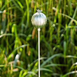 Paper High Iron Poppy Seed Head Garden Stake Decoration in Silver