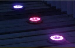 Leaper Pack of 2 Waterproof 8LED Solar Ground Light for Garden - thumbnail 4