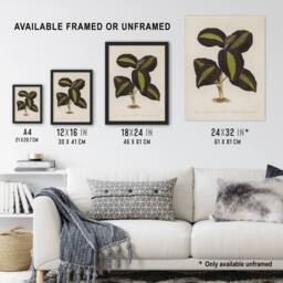 "Artery8 Golden Veined Jewel Orchid Vintage Botanical Wall Art Print Poster in Beige - Size: W12"" x H16""" - thumbnail 3
