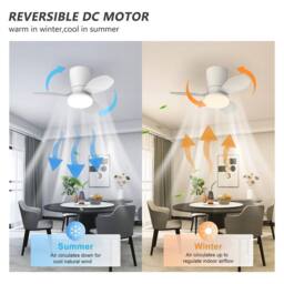 NIVOR LED Ceiling Fans with Lights for Small Spaces 6 Speed Quiet Reversible in White - thumbnail 6