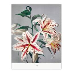 Artery8 Ogawa Kazumasa Framed Wall Art Print White Pink Spotted Lilly Flowers - Size: A4 - thumbnail 3