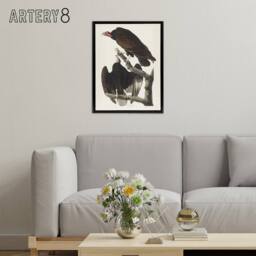 "Artery8 Turkey Buzzard Vulture Audubon Nature Black Framed Canvas Wall Art in White - Size: W12"" x H16""" - thumbnail 3