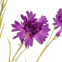 Lemon Pavilion Furniture and Decor Cornflower Stem Artificial Flower - Plastic - L20xW20xH77 cm - Purple - thumbnail 3