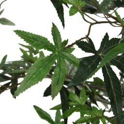 Berkfield Home Artificial Maple Tree 224 Leaves 80 cm Green - thumbnail 4