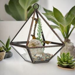 KDMD Glass Terrarium - Small Diamond in Brown - thumbnail 6