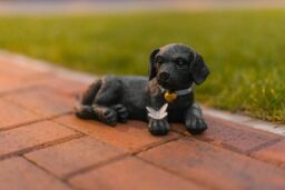 Marco Paul Puppy Statue with butterfly Solar Light in Black - thumbnail 5