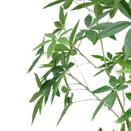 Leaf Artificial Money Tree Pachira Realistic Faux Tree 210cm in Green - thumbnail 2