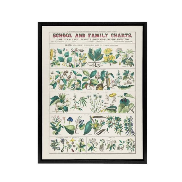 "Artery8 School & family charts No XXII Calkins Framed Canvas Wall Art Print in White - Size: W12"" x H16""" - image 1
