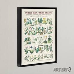 "Artery8 School & family charts No XXII Calkins Framed Canvas Wall Art Print in White - Size: W12"" x H16""" - thumbnail 2