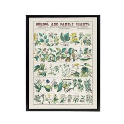 "Artery8 School & family charts No XXII Calkins Framed Canvas Wall Art Print in White - Size: W12"" x H16""" - thumbnail 1