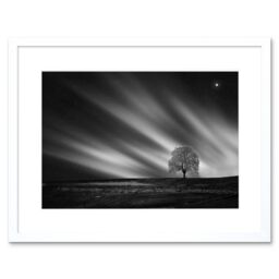 "Artery8 Wall Art Print Lone Tree Landscape Aurora Black White Framed - Size: W7"" x H9""" - thumbnail 1