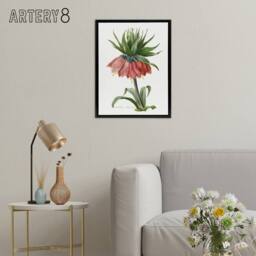 "Artery8 Crown Imperial Flower Redoute Vintage Black Framed Canvas Wall Art in White - Size: W12"" x H16""" - thumbnail 3