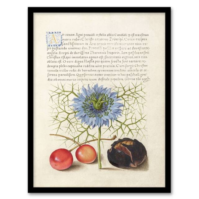 Artery8 Model Book of Calligraphy Framed Wall Art Love in a Mist & Cherries in White - Size: A4 - image 1