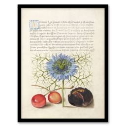 Artery8 Model Book of Calligraphy Framed Wall Art Love in a Mist & Cherries in White - Size: A4 - thumbnail 1