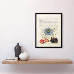 Artery8 Model Book of Calligraphy Framed Wall Art Love in a Mist & Cherries in White - Size: A4 - thumbnail 2