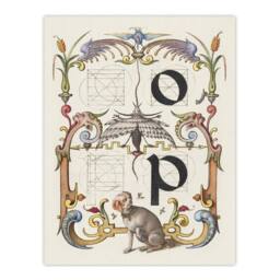 "Artery8 Pictorial Letter Guide O & P Calligraphy Wall Art Poster Print in White - Size: W18"" x H24""" - thumbnail 1
