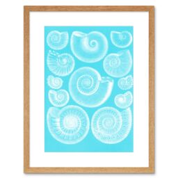 "Artery8 Wall Art Print Fossil Sea Ammonites Blue Art Framed 9x7 inch in Beige - Size: W7"" x H9""" - thumbnail 1