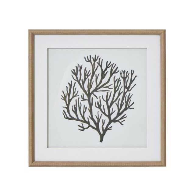 Hill Interiors Atol Coral Framed Art Print in Dark Brown - image 1
