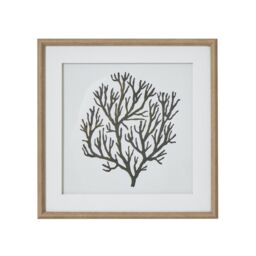 Hill Interiors Atol Coral Framed Art Print in Dark Brown - thumbnail 1