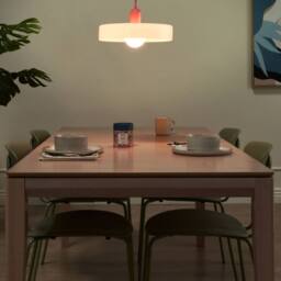 Wyld and Coco Pendant Lamp White Glass Shade Inner Globe Spherical Pendant Light - thumbnail 1