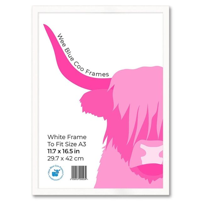 Wee Blue Coo A3 Blank Picture Frame 11.7 x 16.5 Inch (29.7 x 42cm) Acrylic Safety 'Glass' Photo Frame in White - image 1