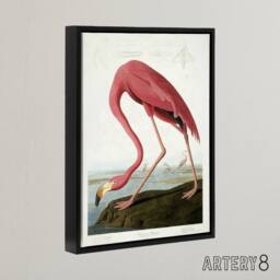 "Artery8 Audubon American Flamingo in Coastal Landscape Framed Canvas Wall Art in Pink - Size: W12"" x H16""" - thumbnail 2