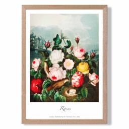 ARTZE Vintage Floral Exhibition - Cottage Roses Framed Print SIZE: A4 with Oak Frame in Red - Size: A3 - thumbnail 1