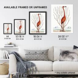 "Artery8 Flamingo Bird Vintage Illustration Catesby Wall Art Poster Print in White - Size: W24"" x H32""" - thumbnail 3