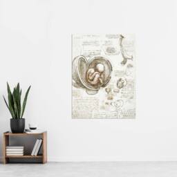"Artery8 Studies of the Foetus in the Womb da Vinci Wall Art Print Poster in Beige - Size: W12"" x H16""" - thumbnail 4