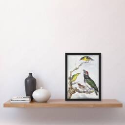 "Artery8 Four Different Birds on a Branch Schouman Framed Wall Art Print - Size: W12"" x H16""" - thumbnail 4