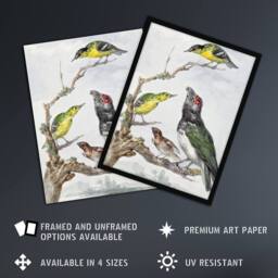 "Artery8 Four Different Birds on a Branch Schouman Framed Wall Art Print - Size: W12"" x H16""" - thumbnail 2