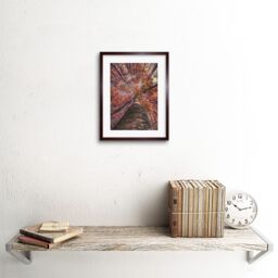 "Artery8 Wall Art Print Birch Forest in Autumn Art Framed 9x7 inch in Brown - Size: W7"" x H9""" - thumbnail 2