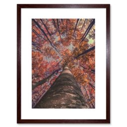 "Artery8 Wall Art Print Birch Forest in Autumn Art Framed 9x7 inch in Brown - Size: W7"" x H9""" - thumbnail 1