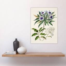 "Artery8 New Zealand Teteaweka Plant Flowers Featon Wall Art Poster Print in Beige - Size: W18"" x H24""" - thumbnail 4