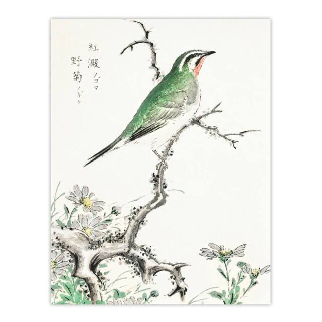 "Artery8 Ruby Throat Bird & Wild Camomile Vintage Wall Art Print Kashu - Size: W12"" x H16""" - image 1