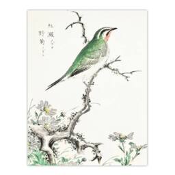 "Artery8 Ruby Throat Bird & Wild Camomile Vintage Wall Art Print Kashu - Size: W12"" x H16""" - thumbnail 1