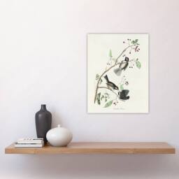 "Artery8 Canadian Titmouse Bird Audubon Nature Wall Art Print Poster in White - Size: W18"" x H24""" - thumbnail 4