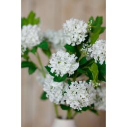 Lemon Pavilion Furniture and Decor Snowball Viburnum Spray (Single Stem Flower) - Height 77 cm - Cream - thumbnail 5