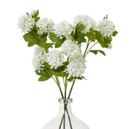 Lemon Pavilion Furniture and Decor Snowball Viburnum Spray (Single Stem Flower) - Height 77 cm - Cream - thumbnail 3