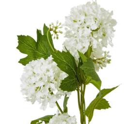 Lemon Pavilion Furniture and Decor Snowball Viburnum Spray (Single Stem Flower) - Height 77 cm - Cream - thumbnail 2