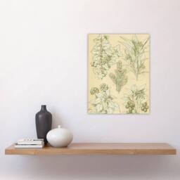"Artery8 Leaves From Nature No 7 Botanical Jones Vintage Wall Art Print Poster in Beige - Size: W12"" x H16""" - thumbnail 4