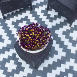 FLAVORA 180 cmx270 cm Outdoor Rug for Patio in Grey - Size: 100 cm diameter - thumbnail 4