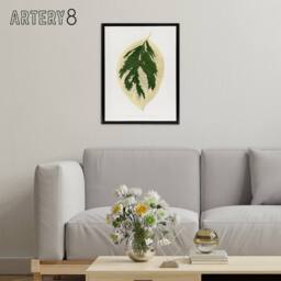 "Artery8 AF Lydon B Fawcett Hydrangea Japonica Variegata Leaf Framed Canvas Art in White - Size: W12"" x H16""" - thumbnail 3