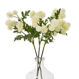 Lemon Pavilion Furniture and Decor Globe Thistle Spray (Single Stem Flower), Plastic, Height 56 cm, Cream - thumbnail 8