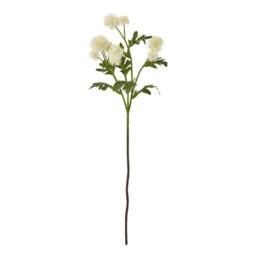 Lemon Pavilion Furniture and Decor Globe Thistle Spray (Single Stem Flower), Plastic, Height 56 cm, Cream - thumbnail 1