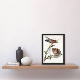 Artery8 John James Audubon Framed Wall Art Print Red Shouldered Hawk in White - Size: A4 - thumbnail 2