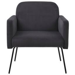 Wyld and Coco Armchair Grey Velvet Black Metal Legs - thumbnail 4